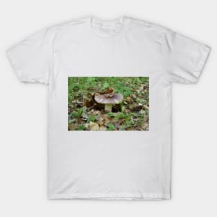 Boletus mushroom T-Shirt